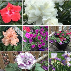 Meet your Posher, Fay